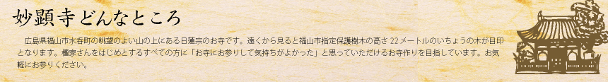 妙顕寺どんなところ